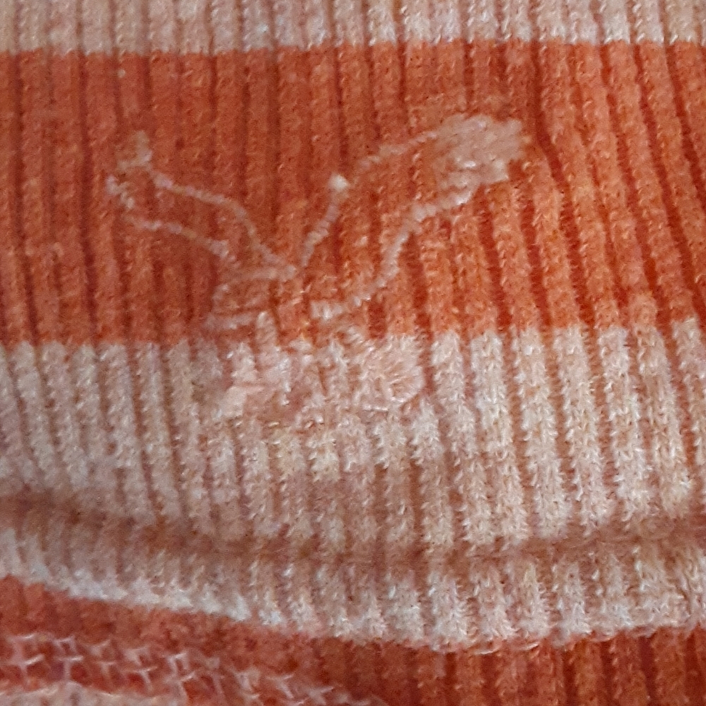 American Eagle Outfitters Orange v neck Henley - Picture 7 of 10